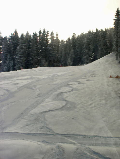 G�TZNER-14-03-2013 022