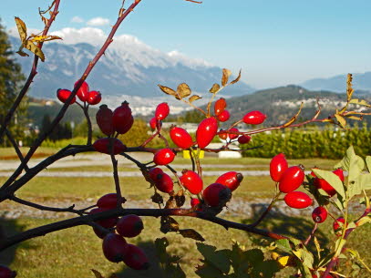 HUAWEI-H�LLE-REKLAMATION-25-11-2017 001+