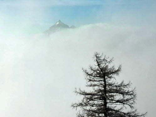 IMG_20170209_101722+