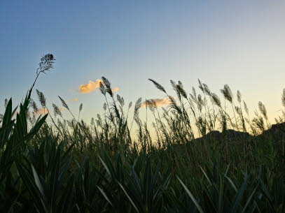 KOUTALIOTIKO-SPILI-30-09-2020 (19)