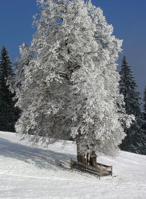 MA-01-04-2013 004 Kopie