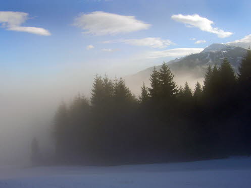 MA-11-01-2011 013 Kopie