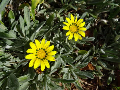 RODAKINO-STRAND-27-09-2020 (43)