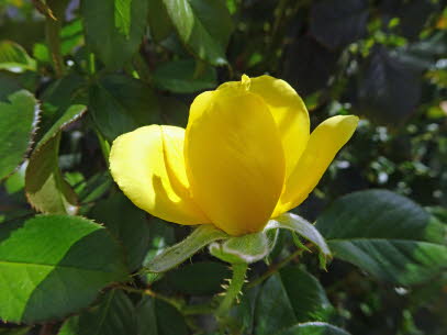 RODAKINO-STRAND-27-09-2020 (44)