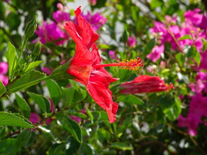 SOUDA-STRAND-28-09-2020 (2)