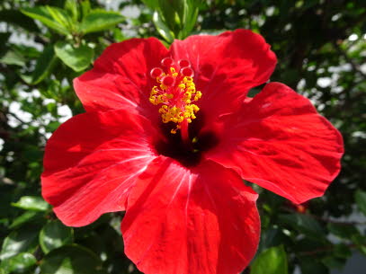 SOUDA-STRAND-28-09-2020 (3)