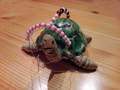 TURTLE-MAULKORB-2018 (3)