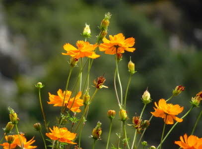 VENEZ-BR�CKE-22-09-2020 (4)